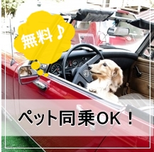 湘南レンタカーではペット同乗無料！